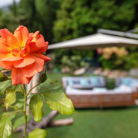 Parkhotel Brenscino บริสซาโก ภายนอก รูปภาพ