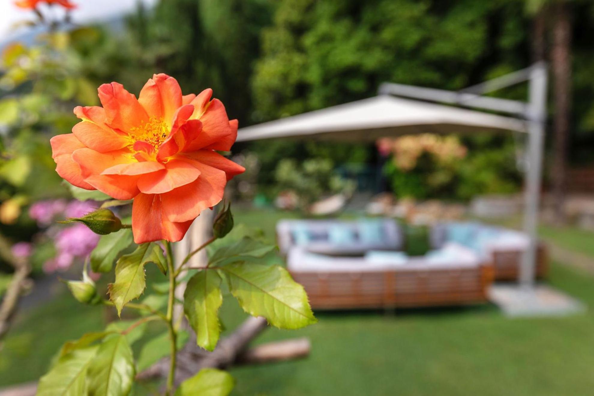 Parkhotel Brenscino บริสซาโก ภายนอก รูปภาพ